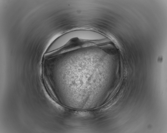 X0000090971095200708161831
