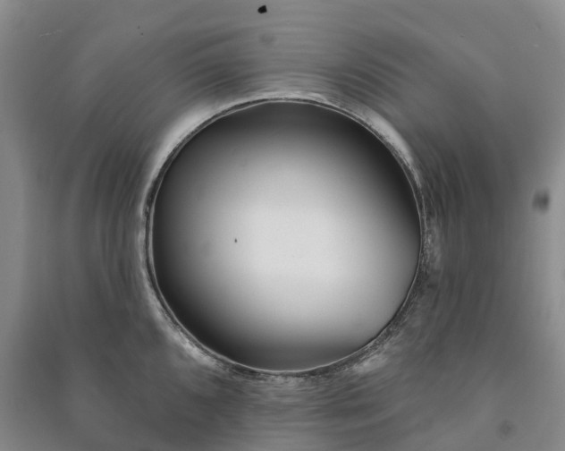 X0000090971096200708161831