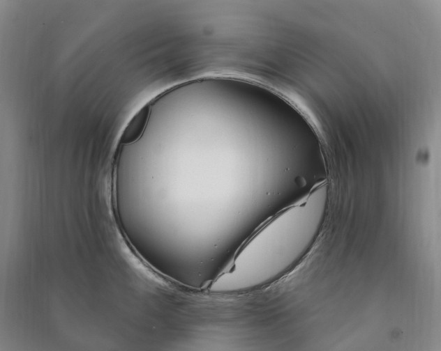 X0000090971100200708161831