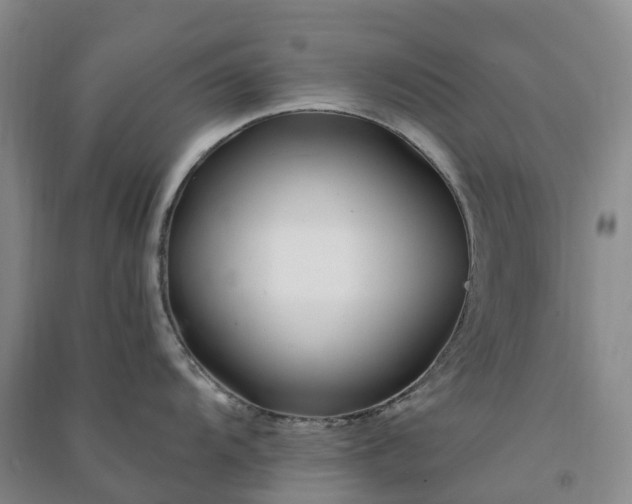 X0000090971104200708161831