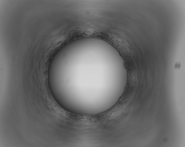 X0000090971105200708161830