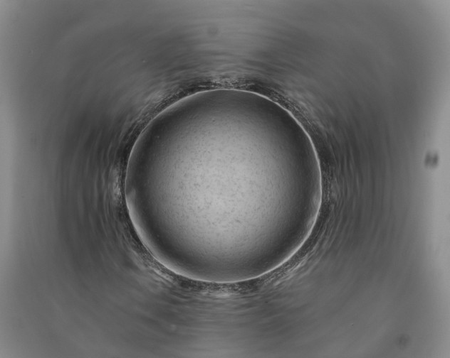 X0000090971106200708161830