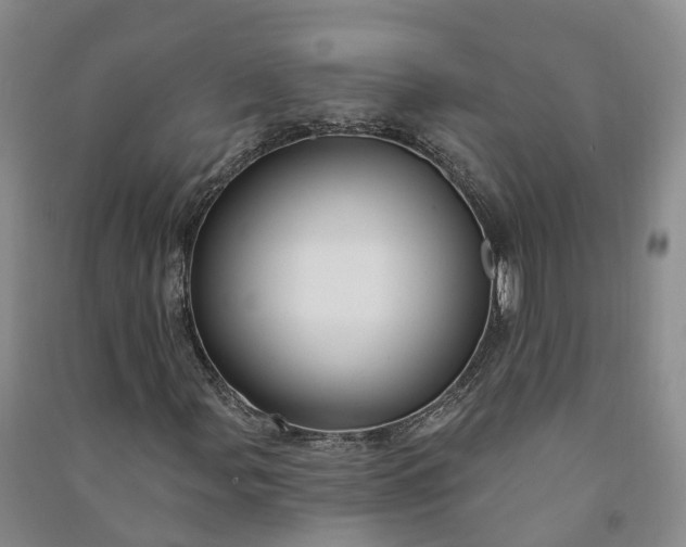 X0000090971107200708161830