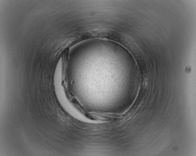 X0000090971108200708161830