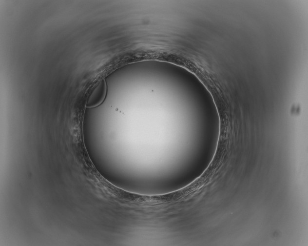 X0000090971109200708161830