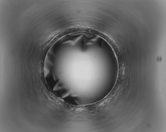 X0000090971110200708161830