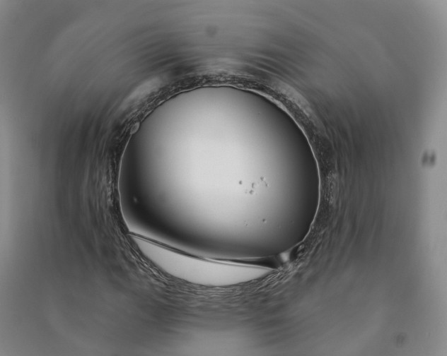 X0000090971111200708161830