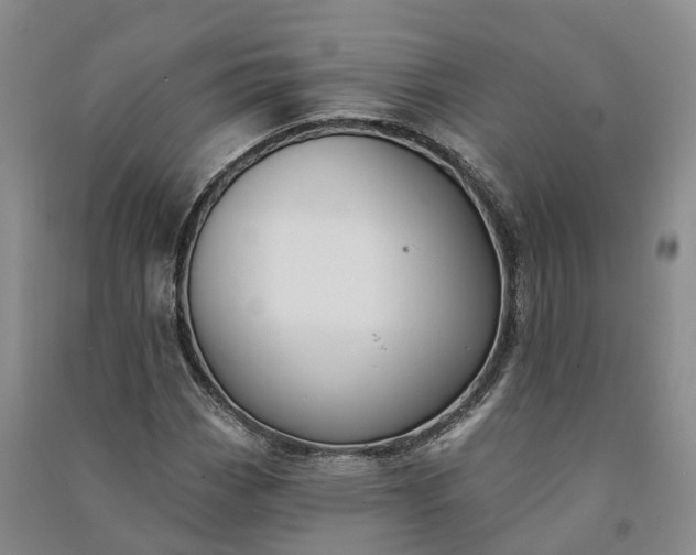 X0000090971113200708161830