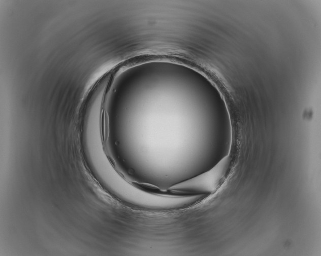 X0000090971114200708161830