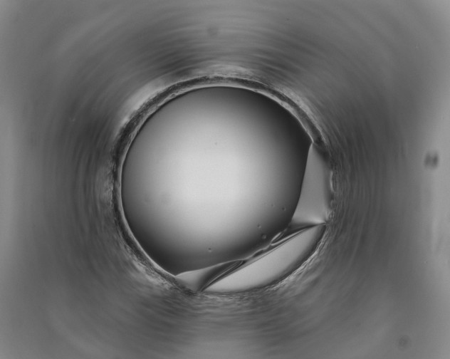 X0000090971115200708161830