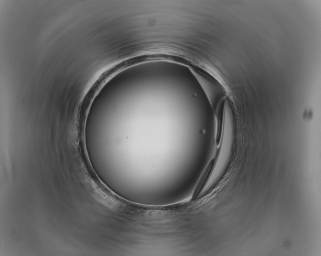 X0000090971116200708161830