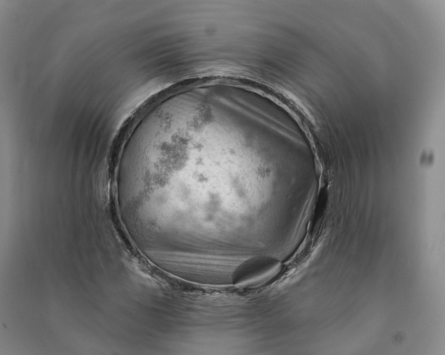 X0000090971117200708161830