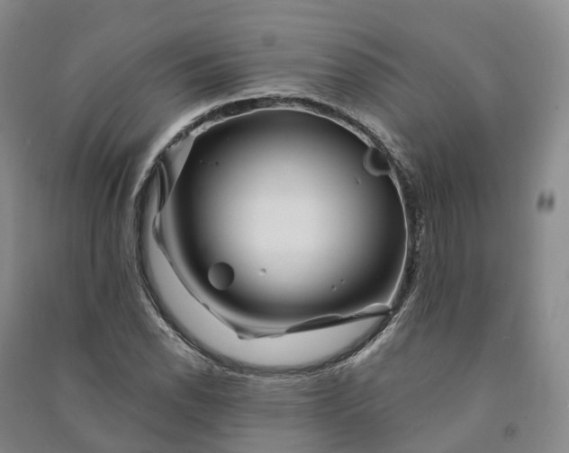 X0000090971118200708161830