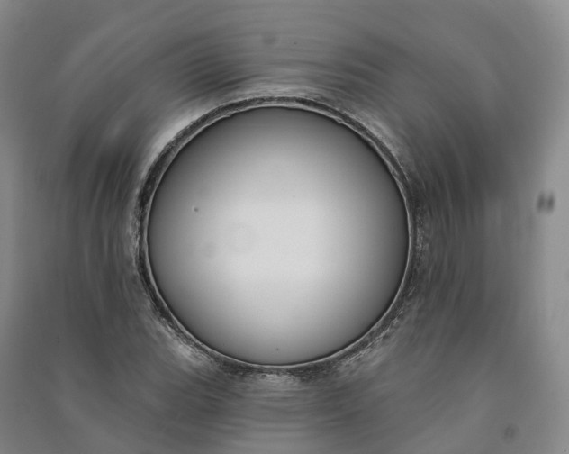 X0000090971119200708161830