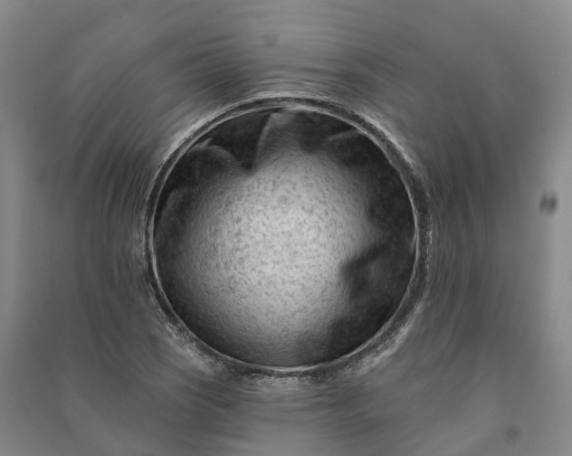 X0000090971121200708161830