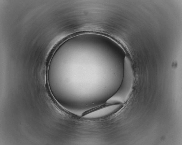 X0000090971123200708161830