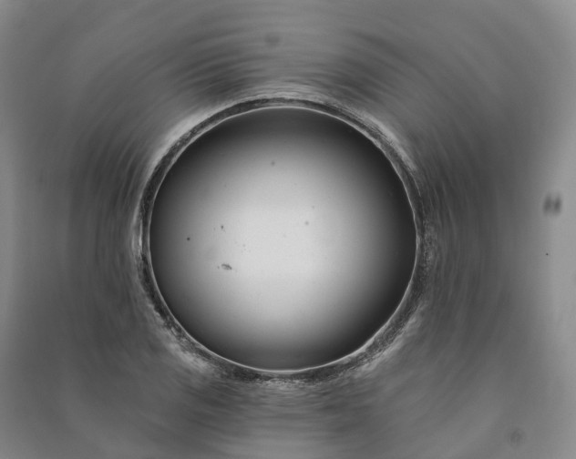 X0000090971125200708161830