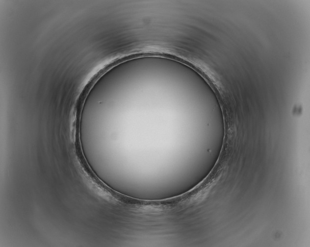 X0000090971126200708161830