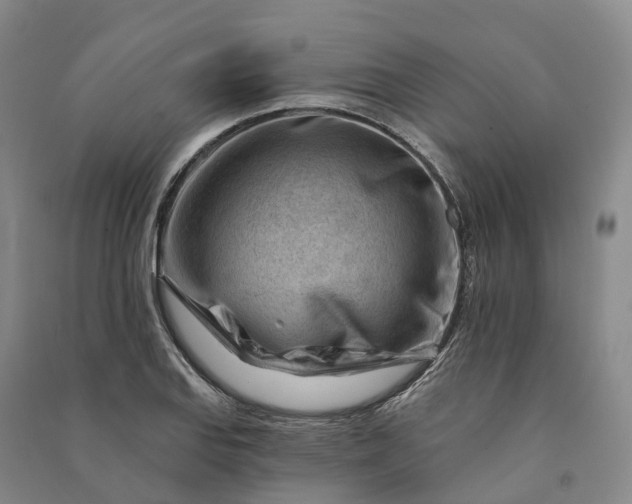 X0000090971127200708161830