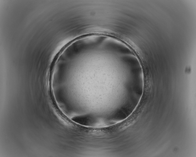 X0000090971128200708161830