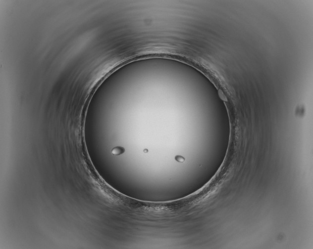 X0000090971129200708161830