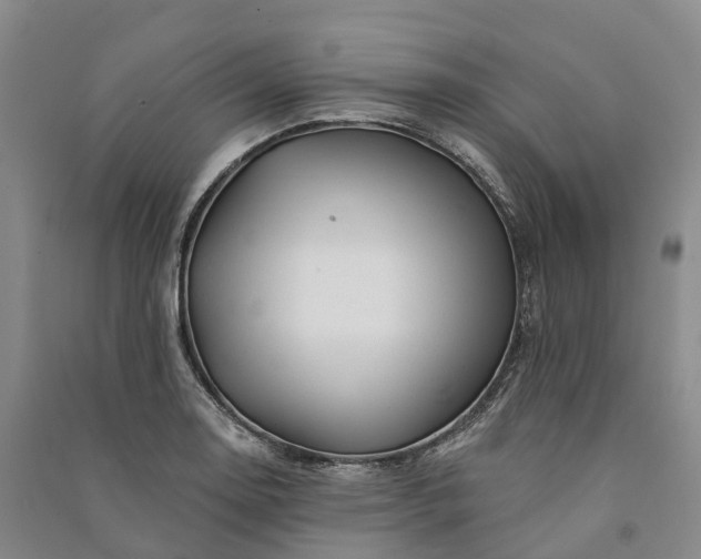 X0000090971130200708161830