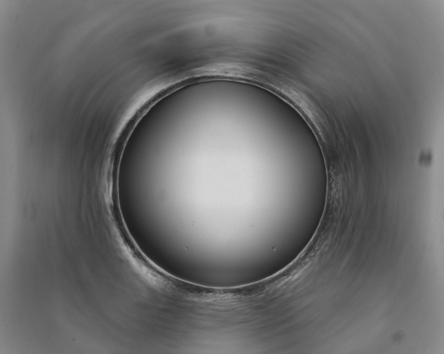 X0000090971131200708161830