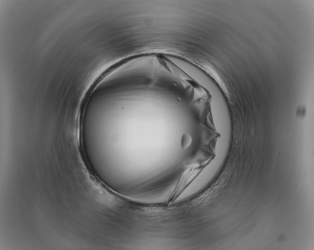 X0000090971132200708161830