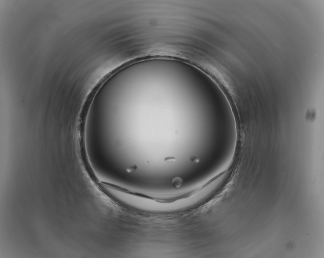 X0000090971133200708161830