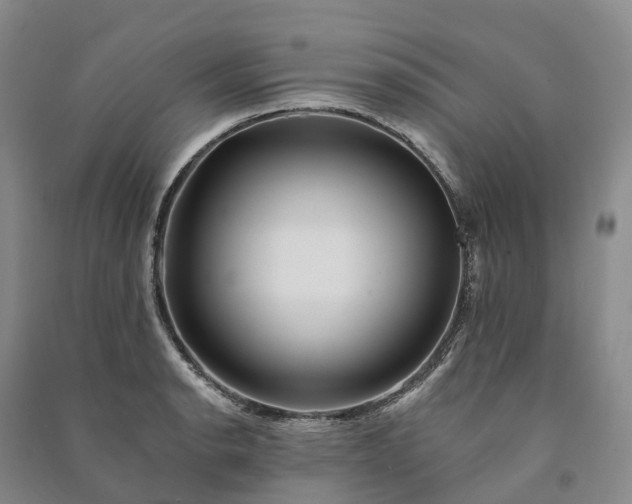 X0000090971134200708161830