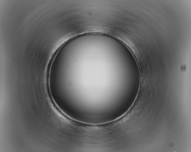 X0000090971135200708161830