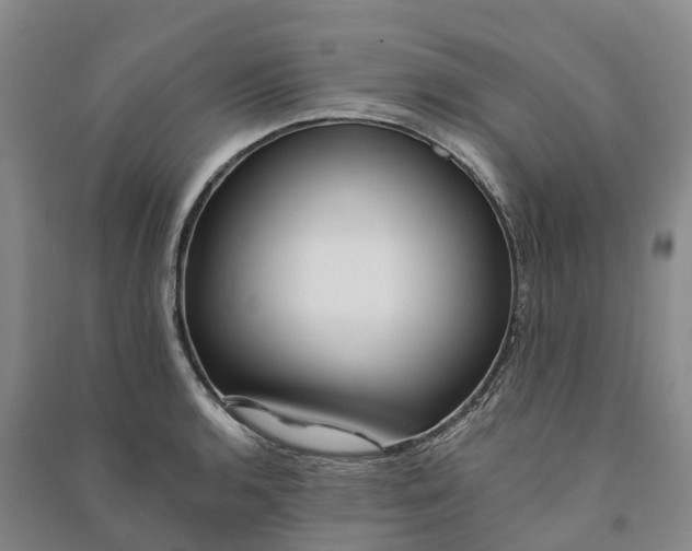 X0000090971136200708161830