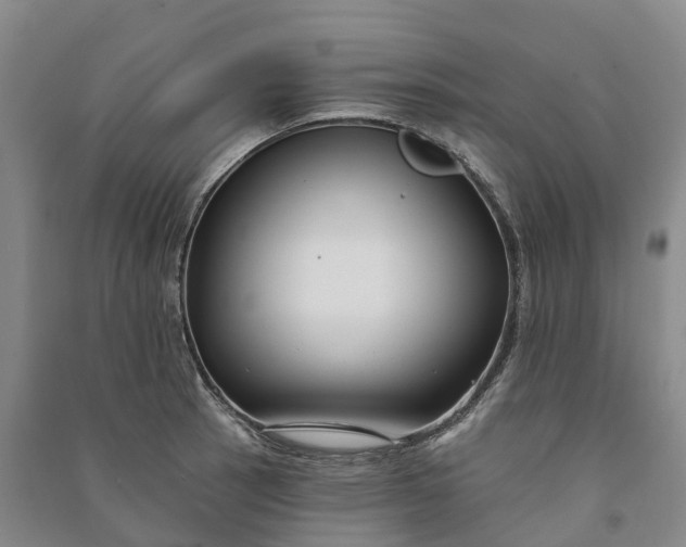 X0000090971137200708161830