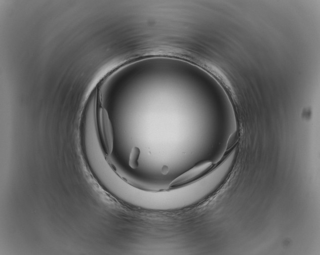 X0000090971138200708161830