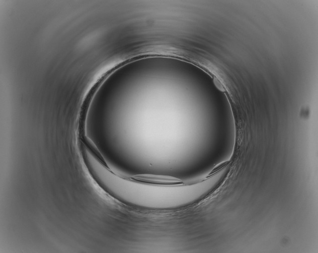 X0000090971139200708161830