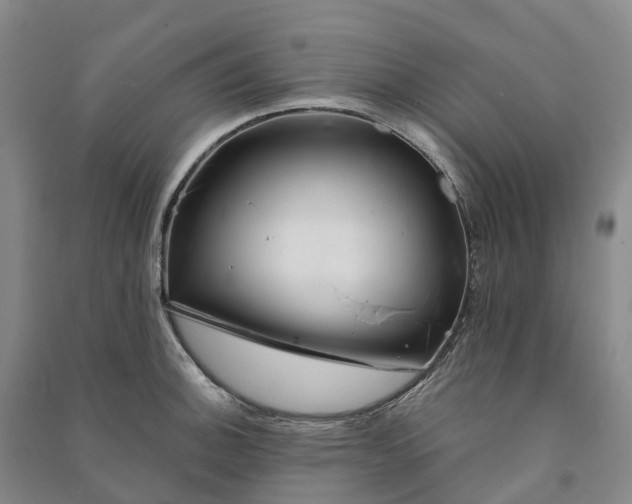 X0000090971140200708161830