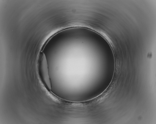 X0000090971142200708161831