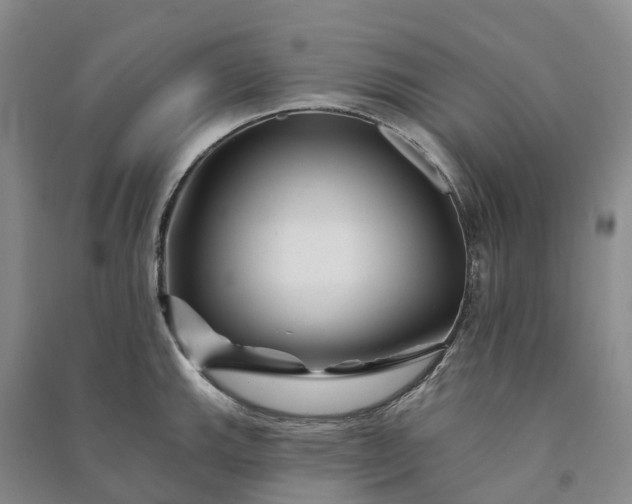 X0000090971143200708161831