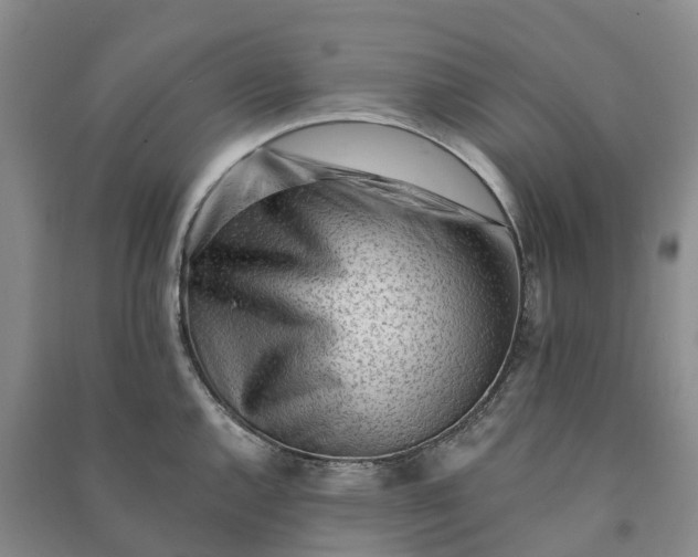 X0000090971144200708161831