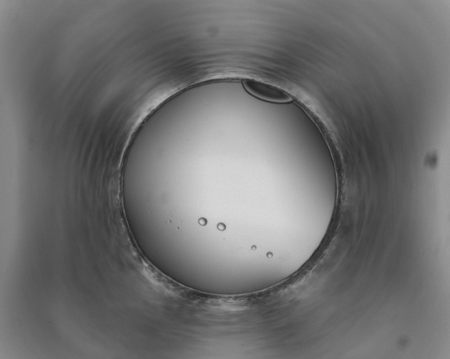 X0000090971145200708161831