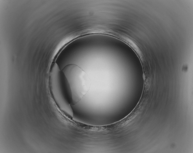 X0000090971146200708161831