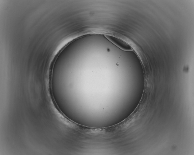 X0000090971147200708161831