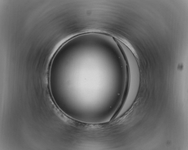 X0000090971148200708161831