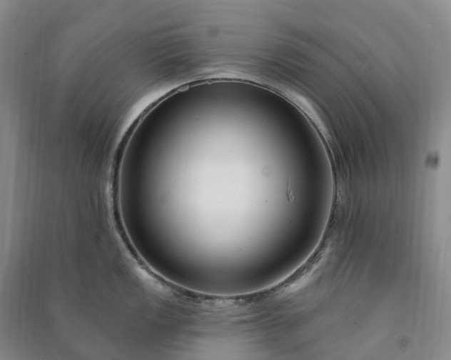 X0000090971149200708161831