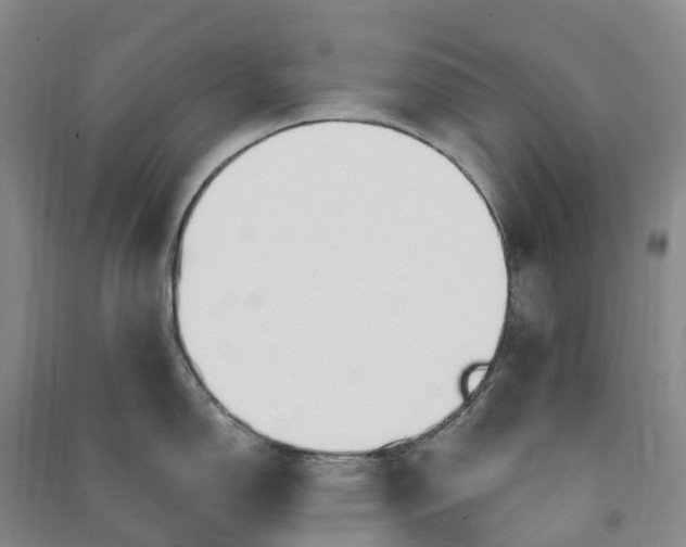 X0000090971150200708161831