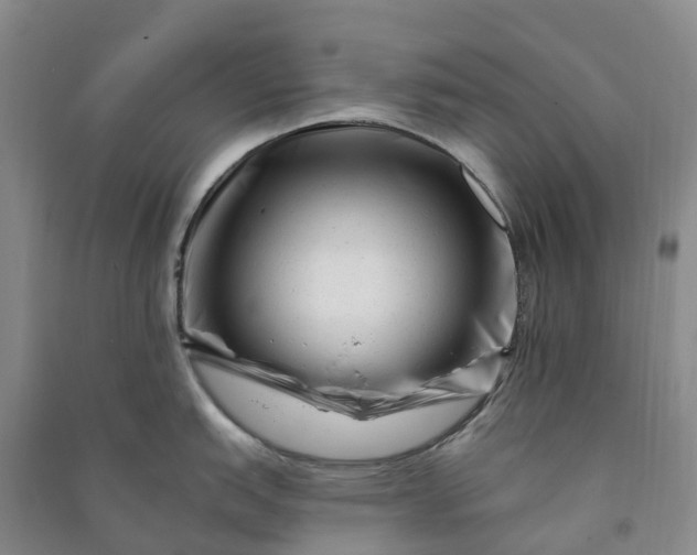 X0000090971151200708161831