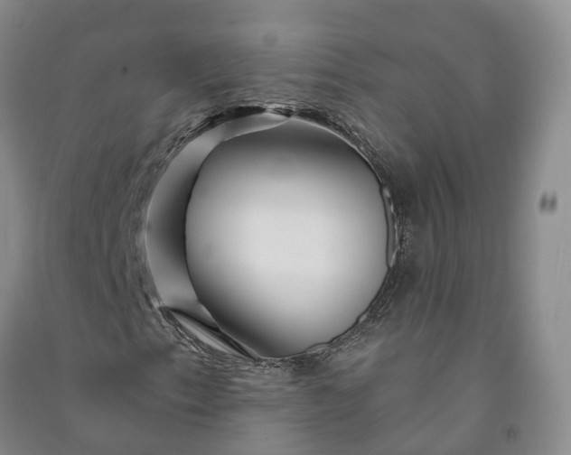 X0000090971153200708161830