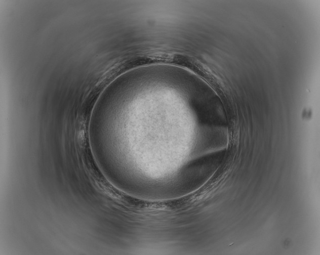 X0000090971154200708161830