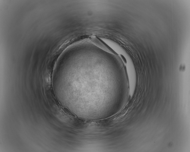 X0000090971155200708161830