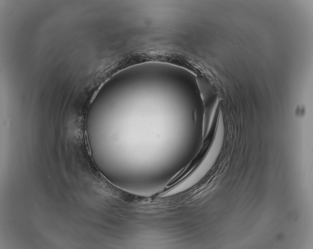 X0000090971156200708161830